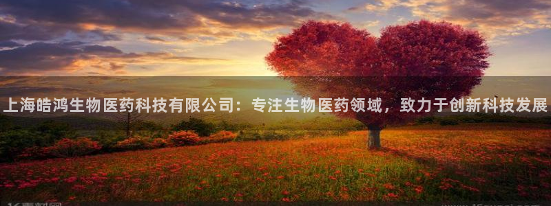 九游会官网登录网址