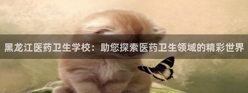 九游会官