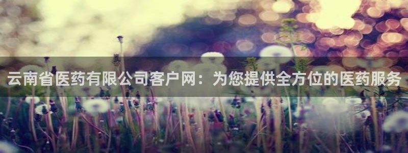 j9九游会体育