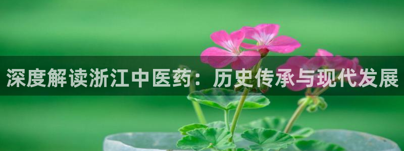 j9九游会官方网站