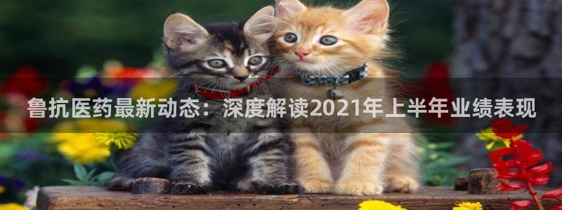 j9九游会老哥俱乐部联系方式