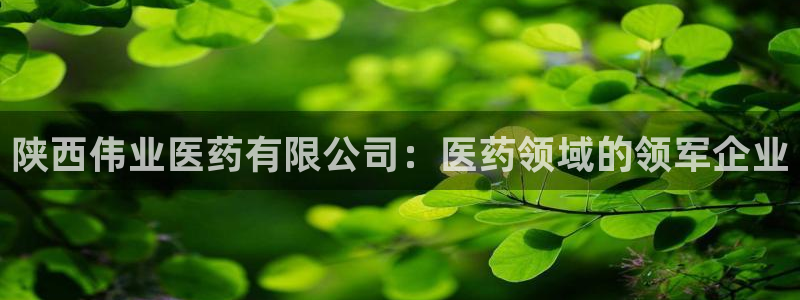 九游会电话