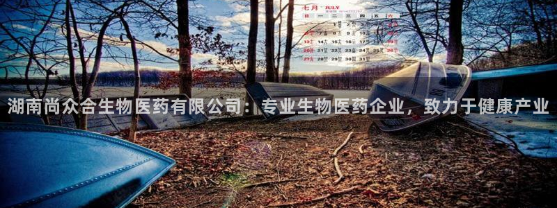 九游会官网ag旧版