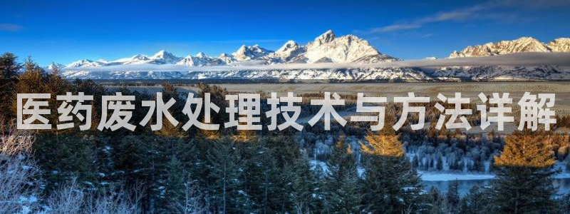 j9九游会app在哪里