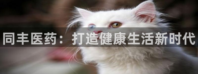 九游j9会 - 真人游戏第一品牌