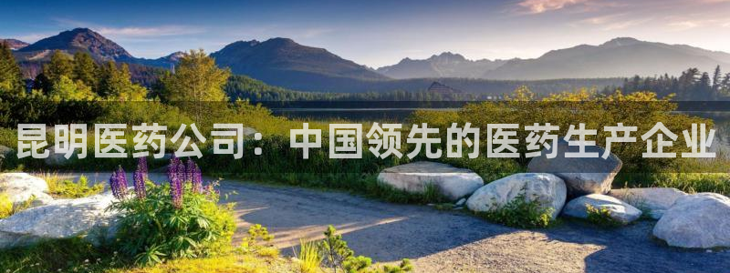 ag久游会