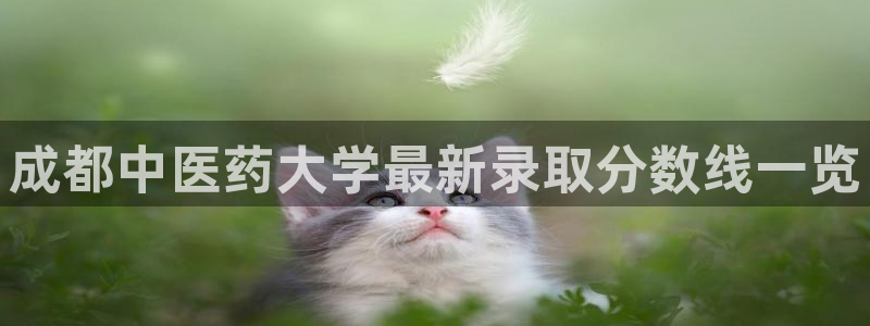 九游会倒闭吗?