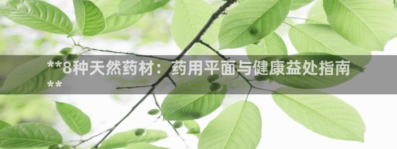九游会亚洲官网