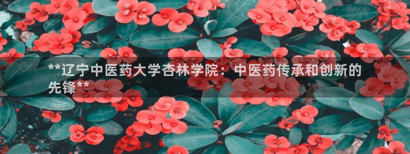 J9九游会官网app