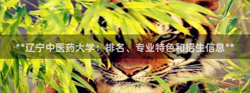 j9九游会最新官网