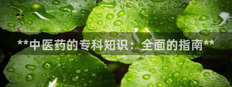 J9九游会首页