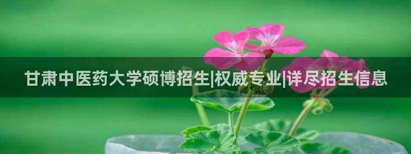 九游会官方网站登录