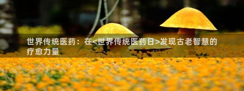 九游j9登录