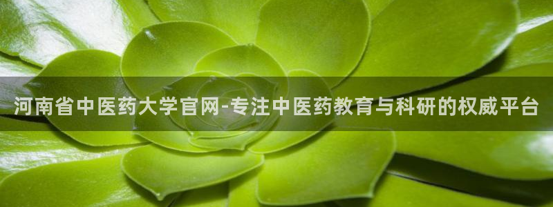 九游会官网登录中心入口