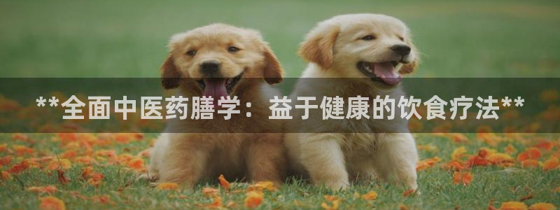 j9官网登录入口