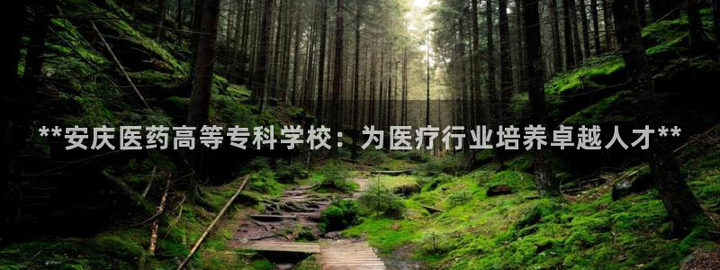 j9九游会如何充值
