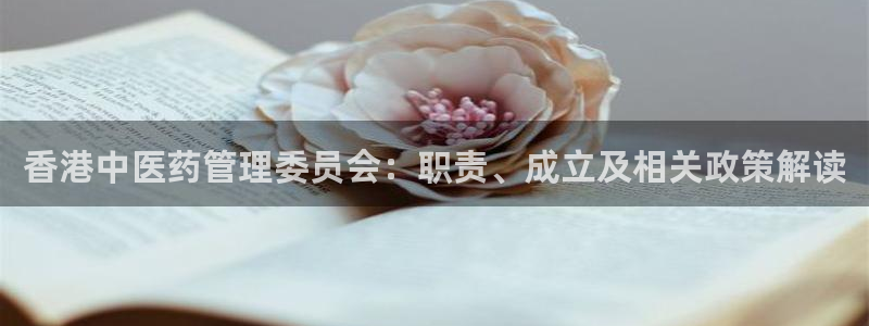 九游会是大平台吗
