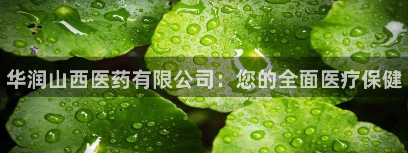 ag九游会集团